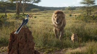 Disney announces photo-realistic <i>Lion King</i> prequel from <i>Moonlight</i>'s Barry Jenkins